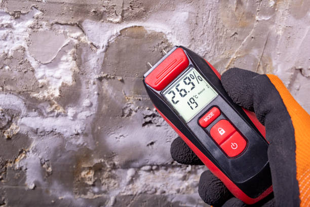 Crawl Space Mold Removal in Colma, CA