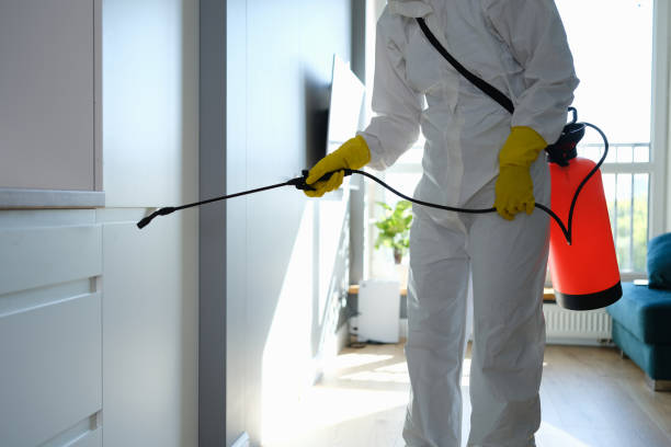 Best Crawl Space Mold Removal  in Colma, CA