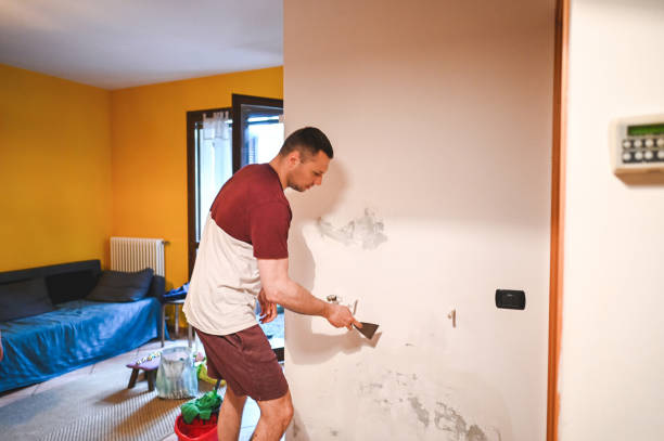 Best Certified Mold Removal  in Colma, CA